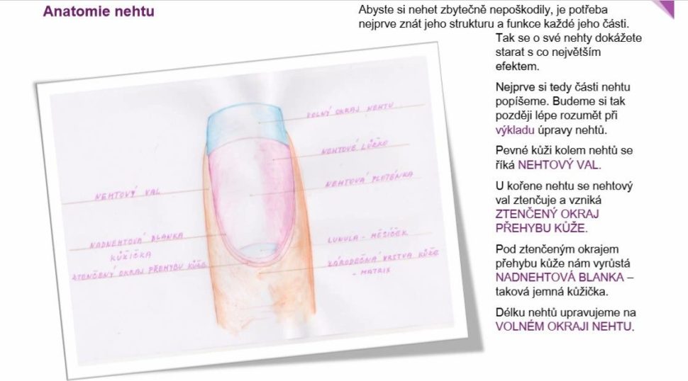 ebook Krásné nehty bez nehtařky 1